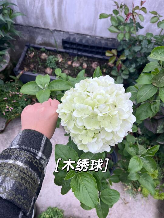 很难不喜欢