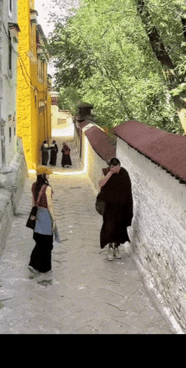 师傅告诉他，山下的女人是老虎，遇见了千万要躲开[捂脸]