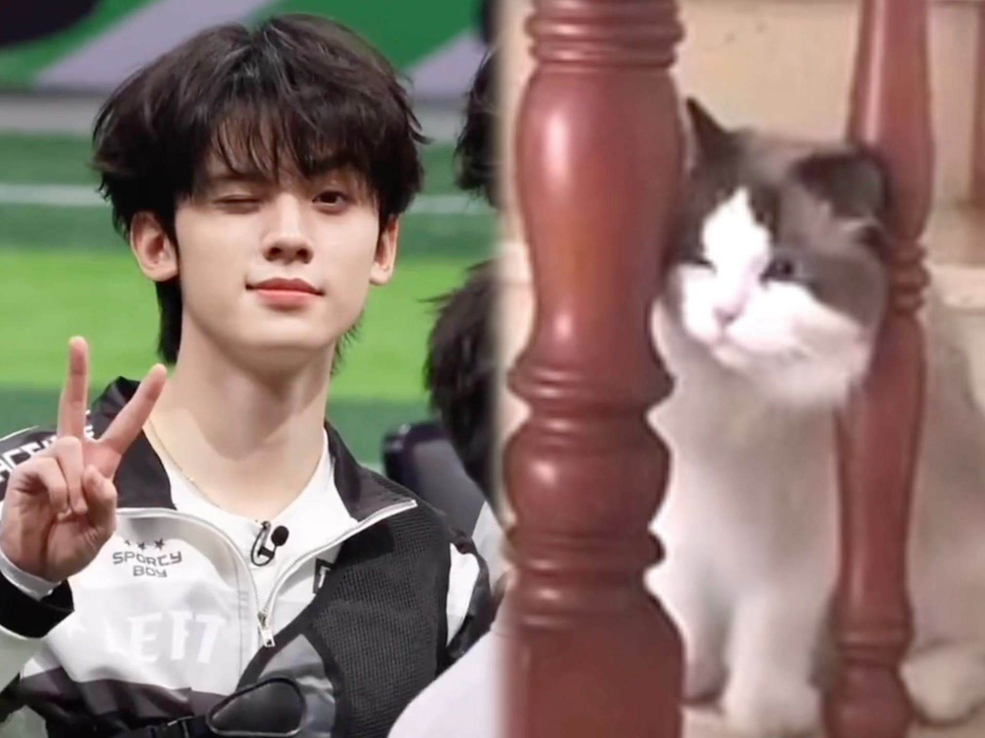 double wink （❛‿˂̵✧）·TOP登陆少年梦寐以求演唱会预告·左航一