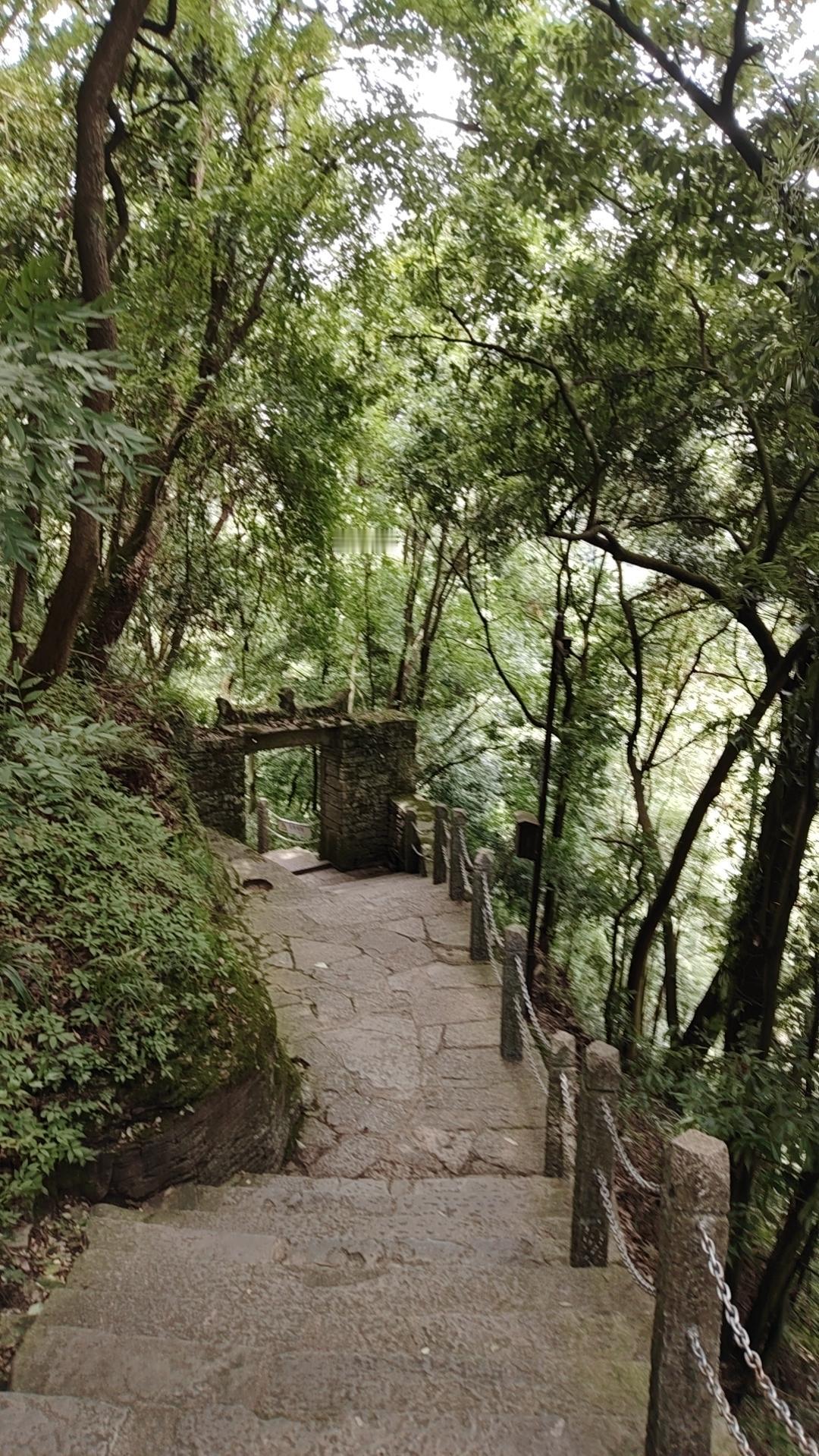 晒图笔记大赛不必焦虑于时代的瞬息万变，心若向阳，无惧风霜，每一步前行，都是对美好