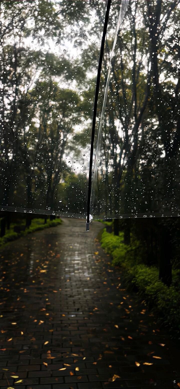早上看到一个朋友小安给我发消息问有没有另外一个朋友琴的微信，说联系不上，年底了想