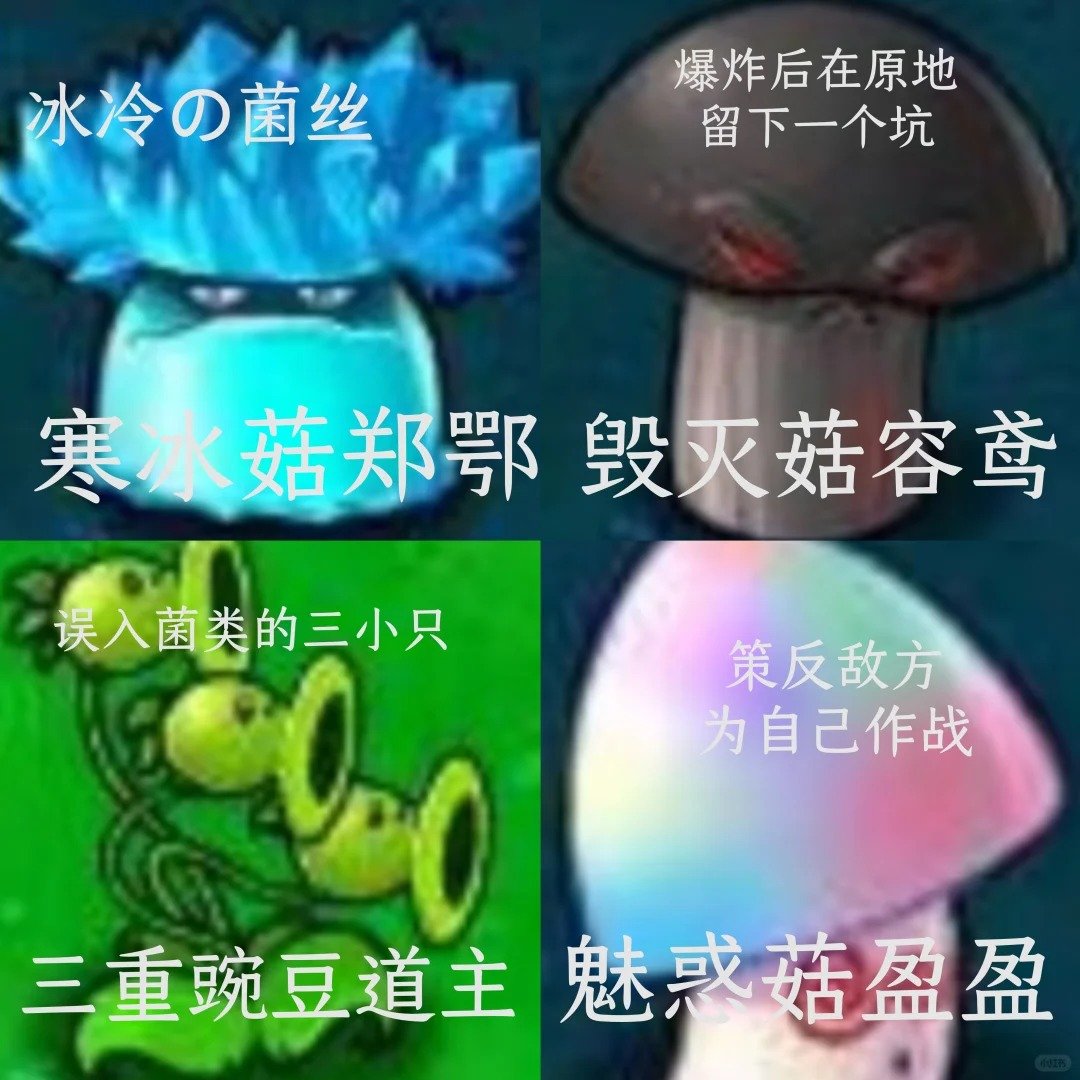 开封镇守be like：远看群英荟萃，近看蘑菇开会 