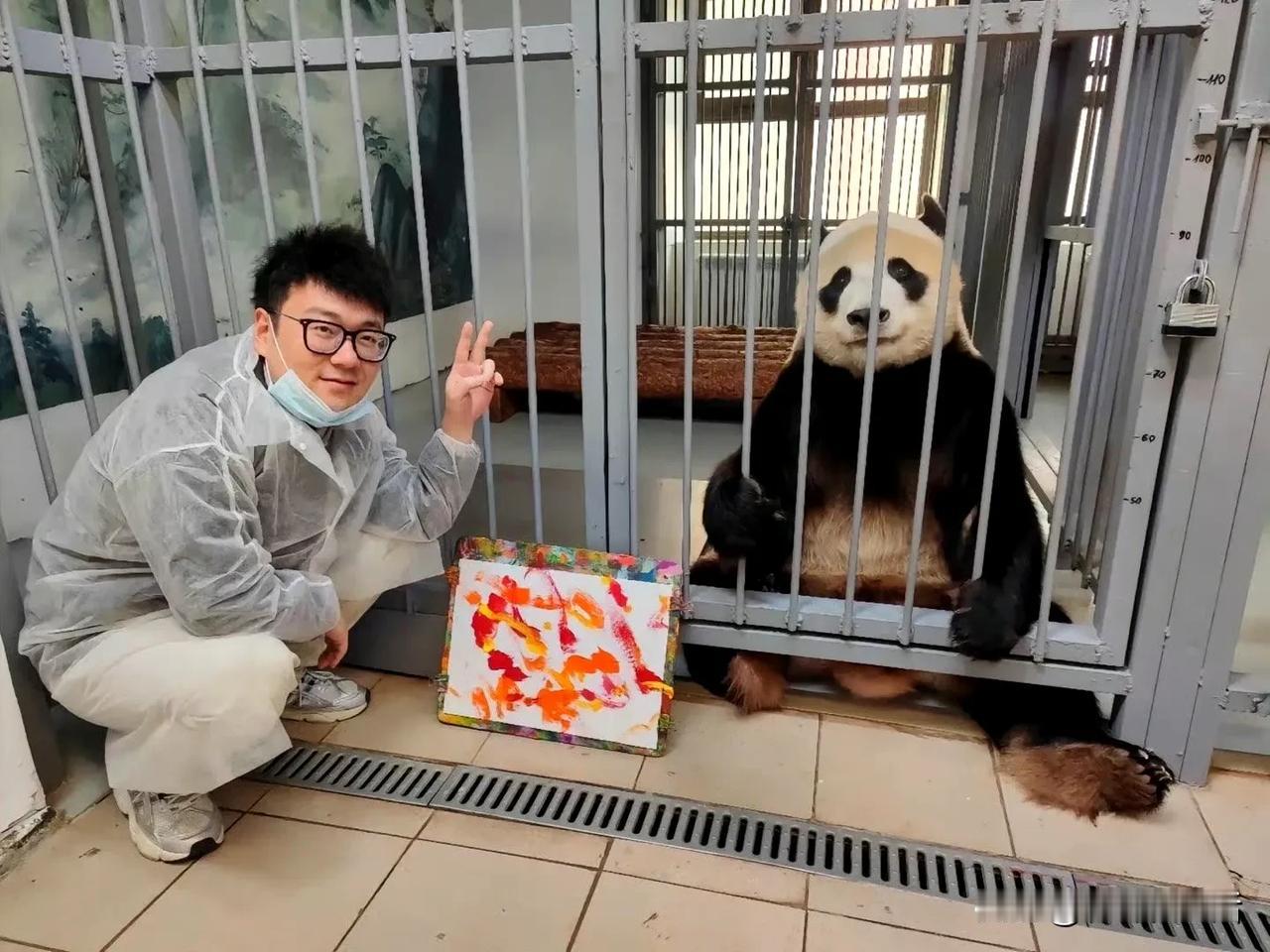 一个大熊猫，如意，5年不见一个兽医，当兽医再一次来的时候他能认出来，愿意让他亲近