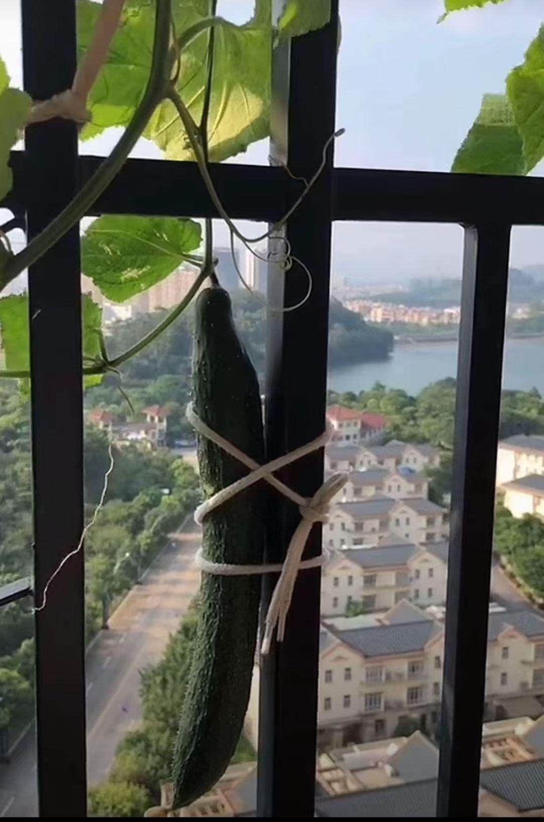 这样总安全了吧[机智][机智]