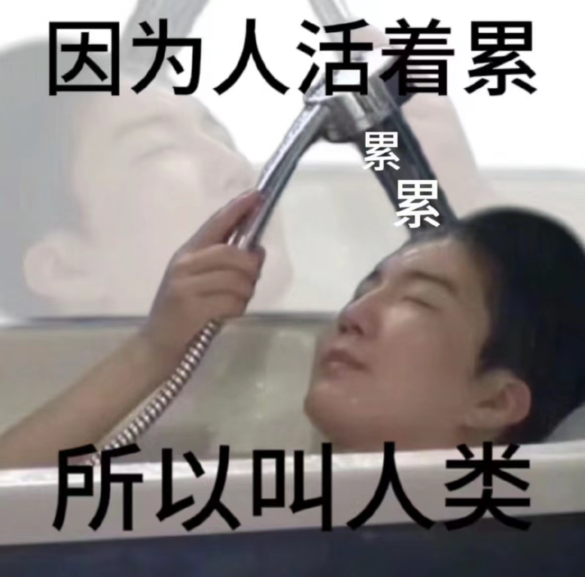 本狐的累点很低，工作一会儿就浑身疲惫 ​​​