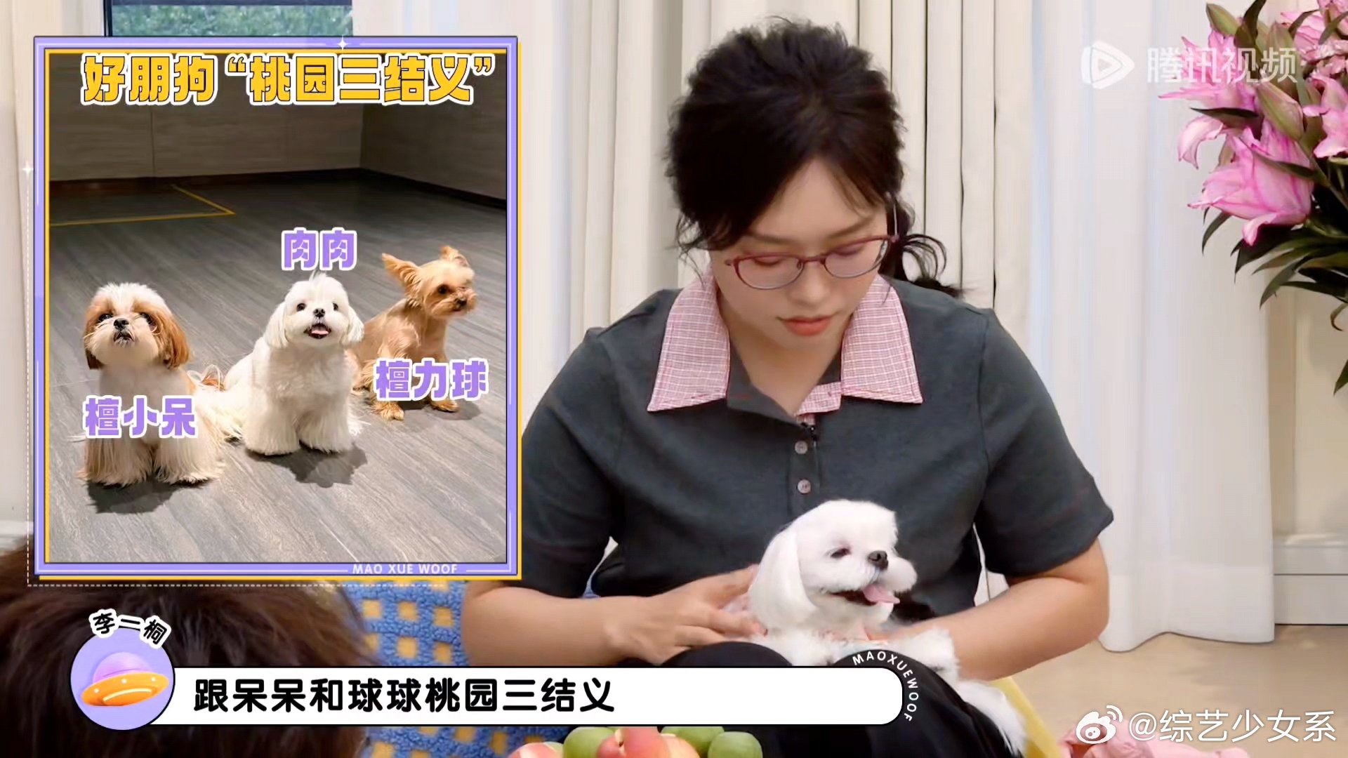 李一桐檀健次的狗狗桃园三结义了李一桐檀健次的狗狗横店三结义李一桐檀健次的狗狗横店