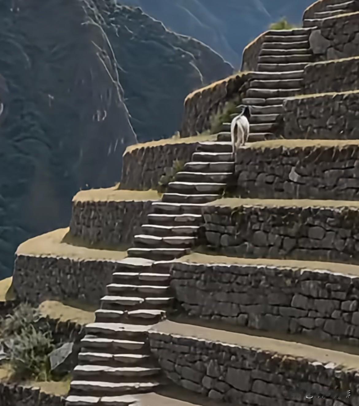 上联：上上下下上下不易
下联：欢欢喜喜欢喜无忧