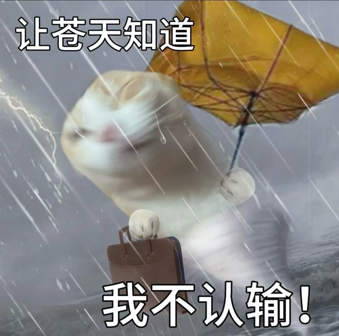 尖早上你打湿了没成都暴雨 成都