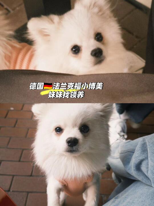 我来到了🇩🇪法兰克福，麻麻你在哪里