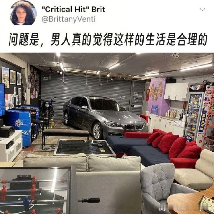 是我理想的生活了，有个大车库，里面能放点乱七八糟的东西，还能停两辆车，做一些简单