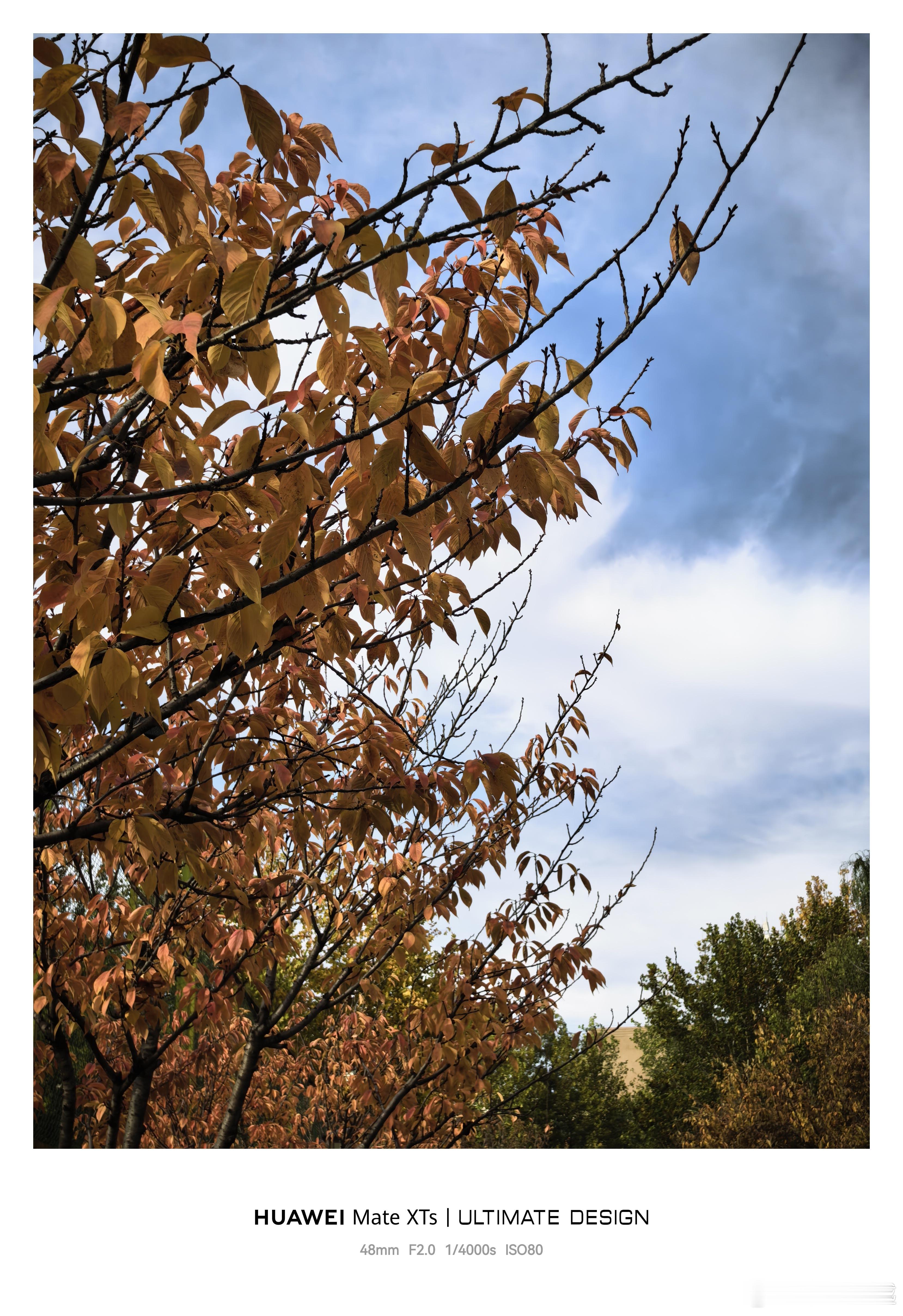 华为Mate XTs随手拍，感叹还是大学好呀，以前最想离开的，现在却最想回去，就