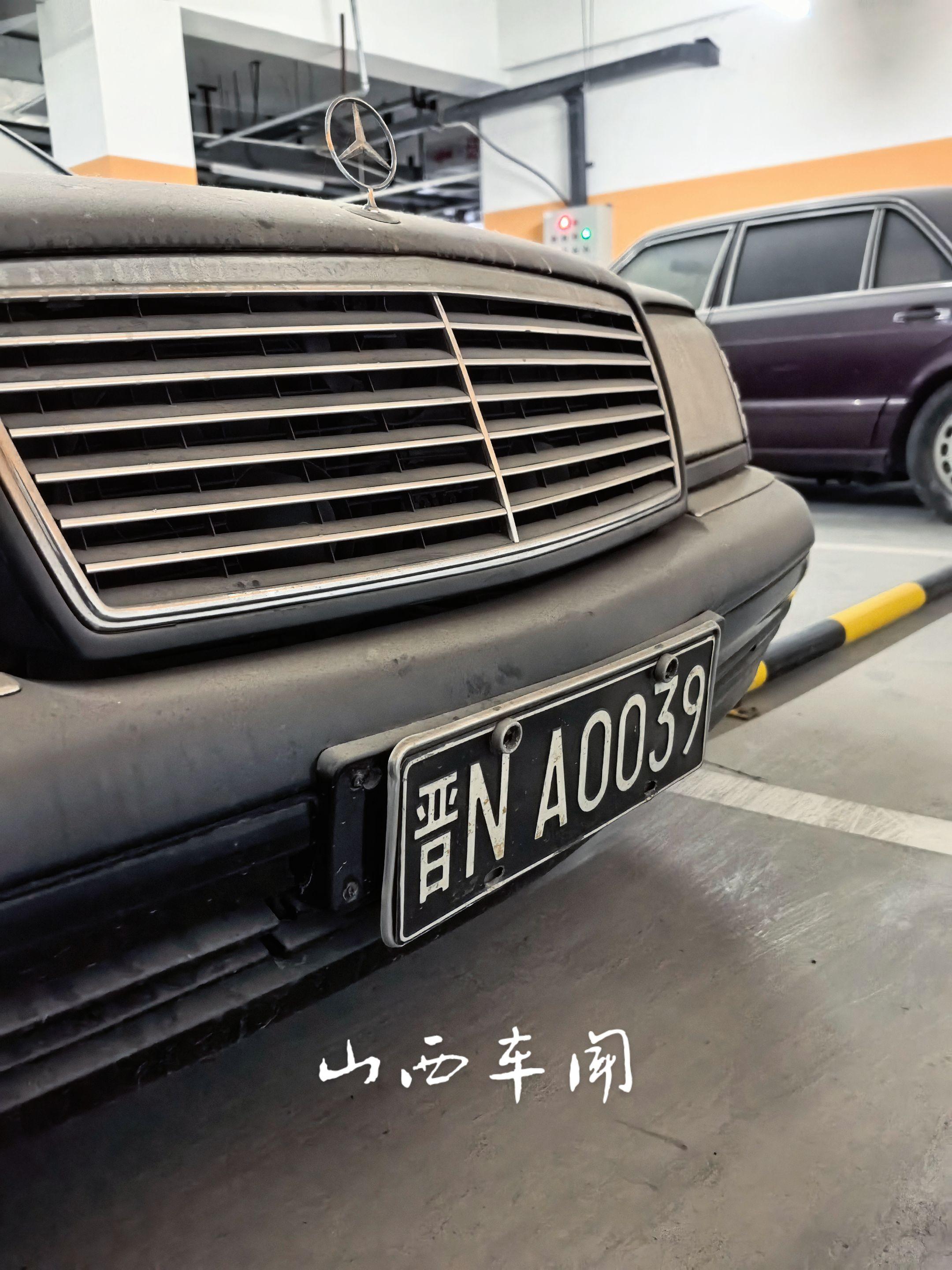 山西黑牌虎头奔。