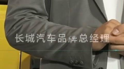 谁能帮我解答一下，这个“长城汽车品牌”是什么品牌热爱自由活出棱角哈弗再推方盒子新