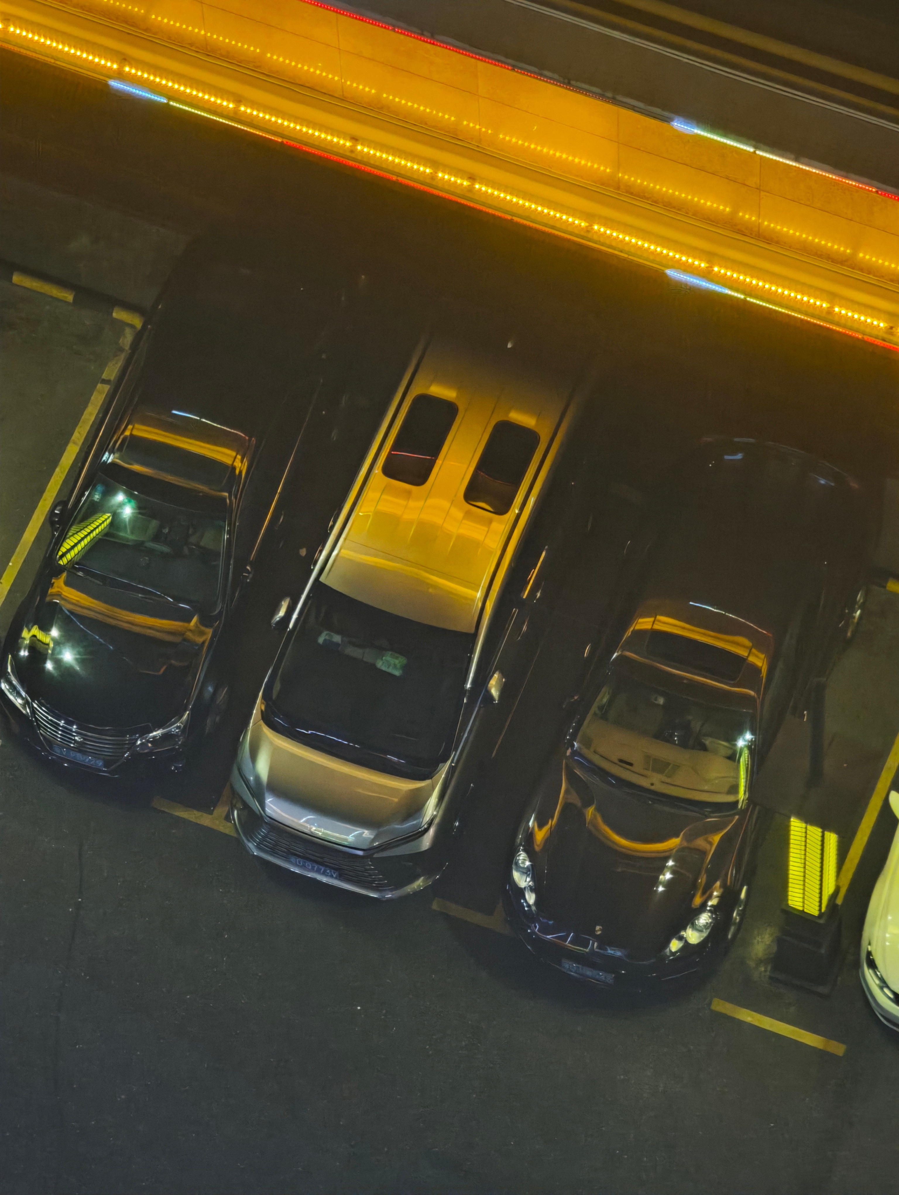 纵向的天窗，从头顶看就特别有趣