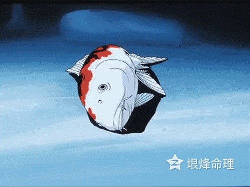 转发这只弄潮破浪的锦鲤，接下来你会冲破所有不顺心的事儿！ 