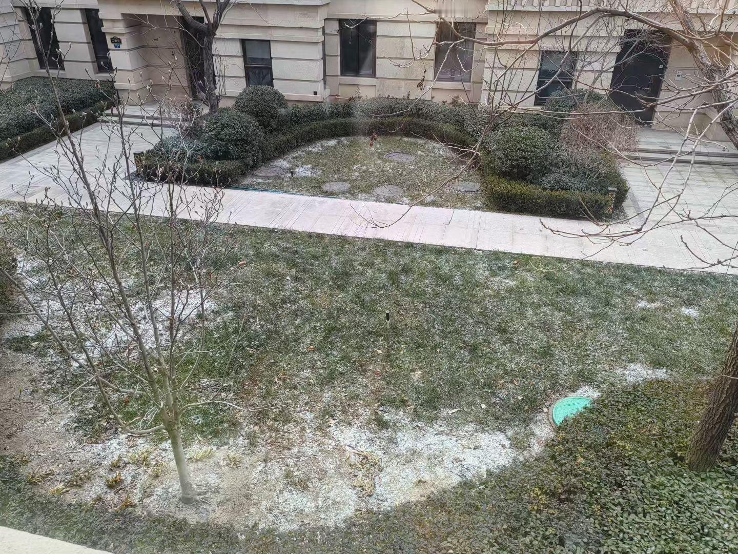 终于也是下雪了，0.1mm，估计过一会儿就化了 