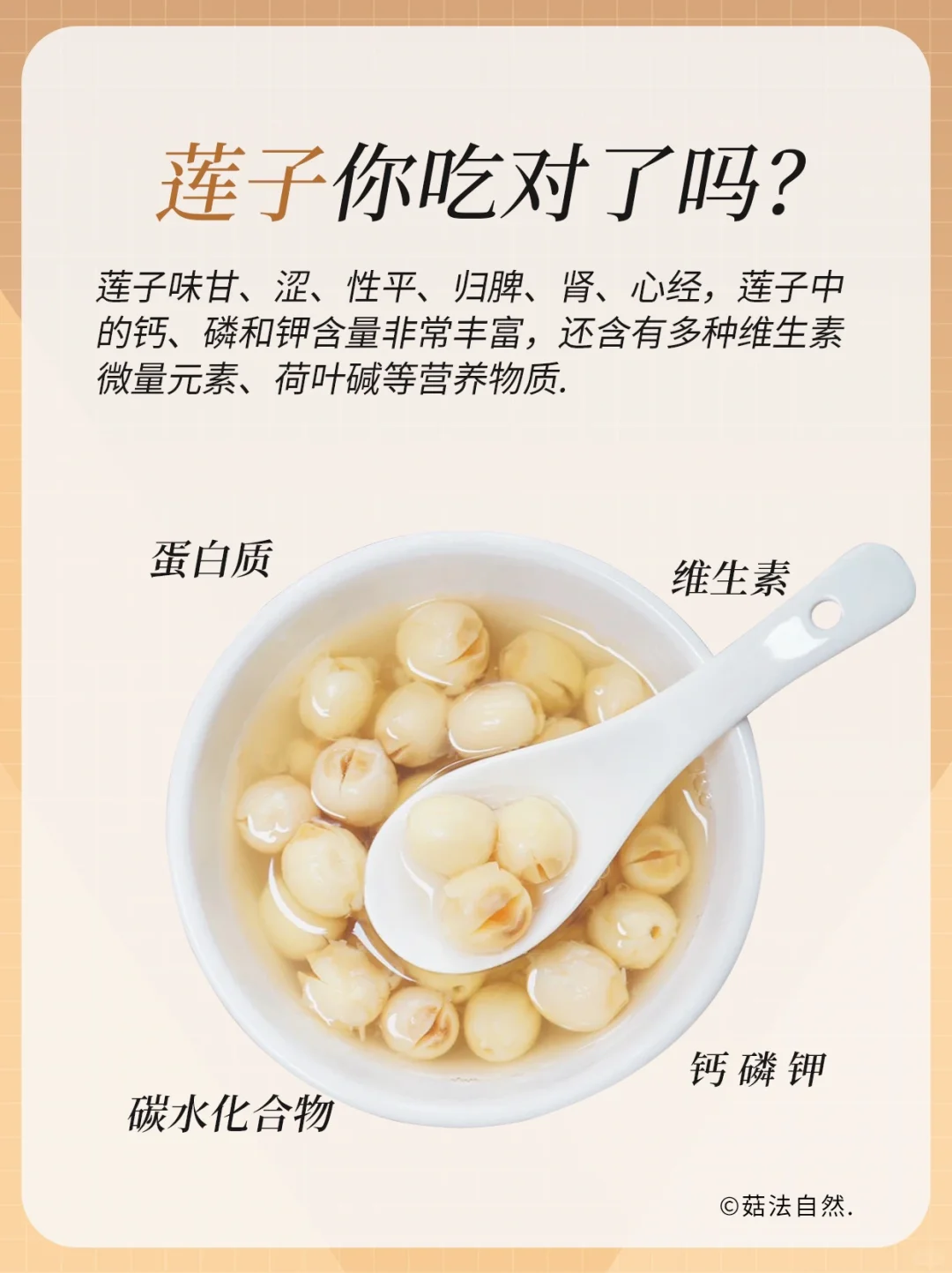 🔥莲子你吃对了吗？