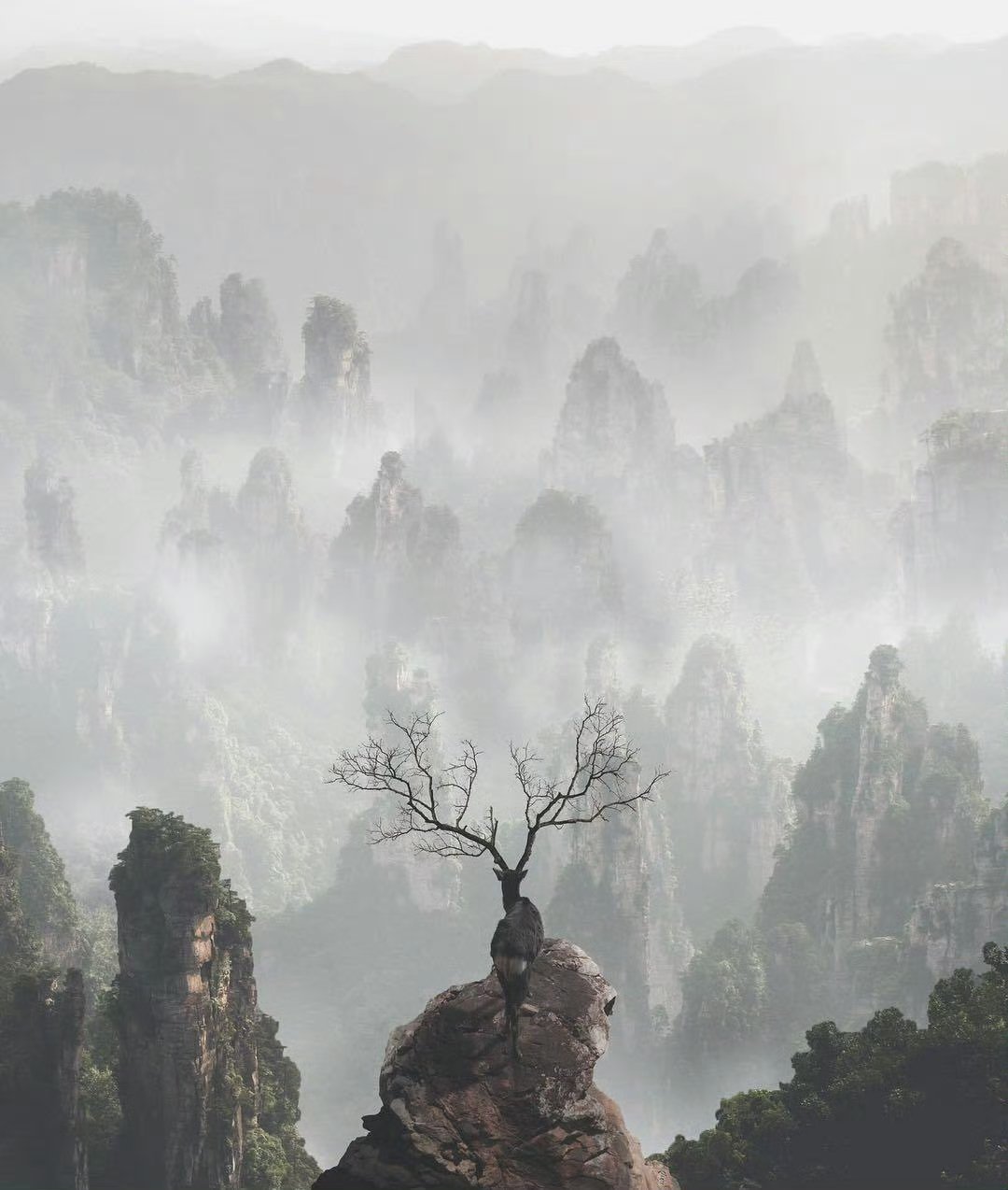 学习只有两种途径：一个是阅读，另一个是与更聪明的人为伍。——威尔·罗杰