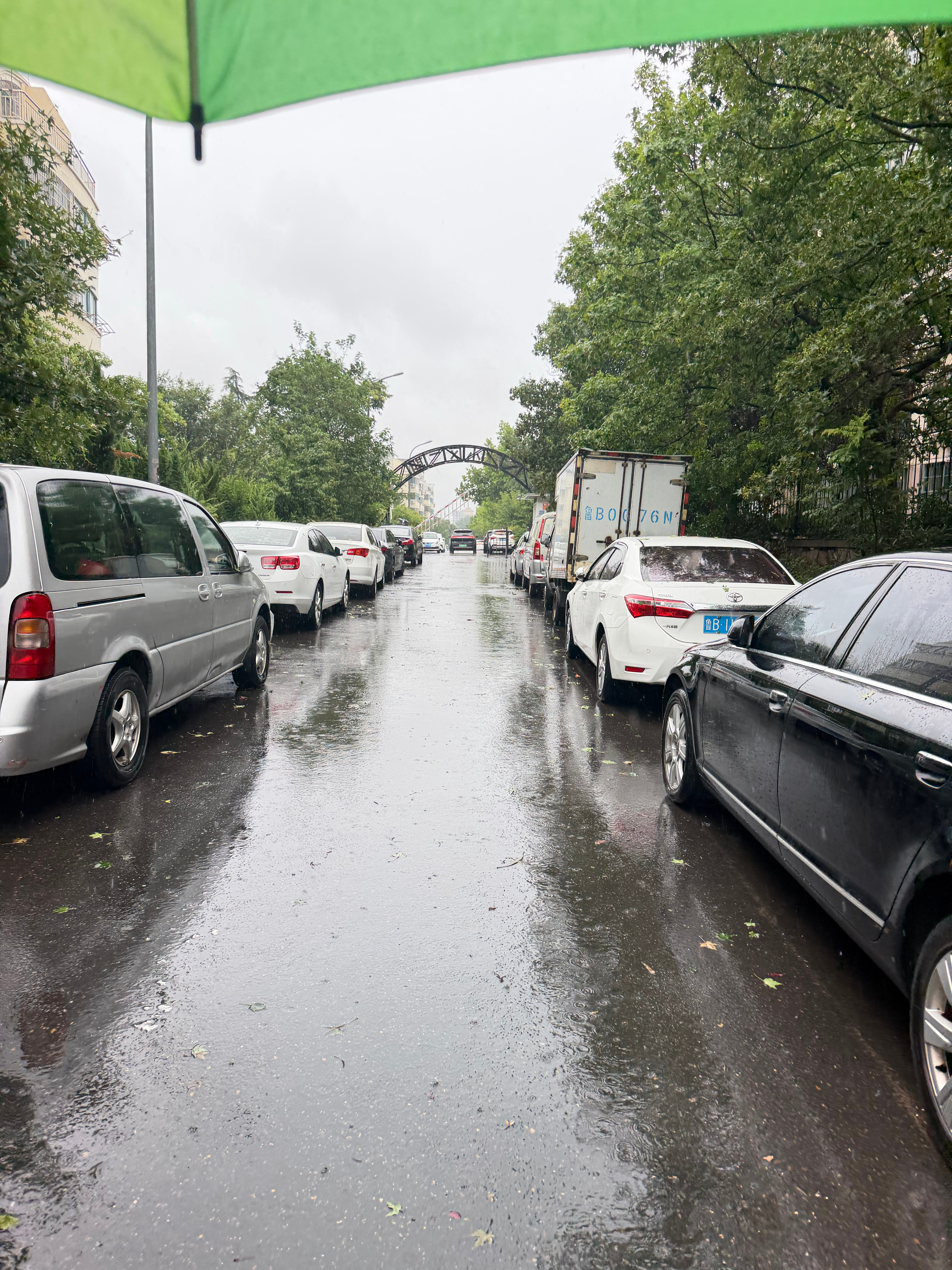 青岛这个大雨我也是没招了… 