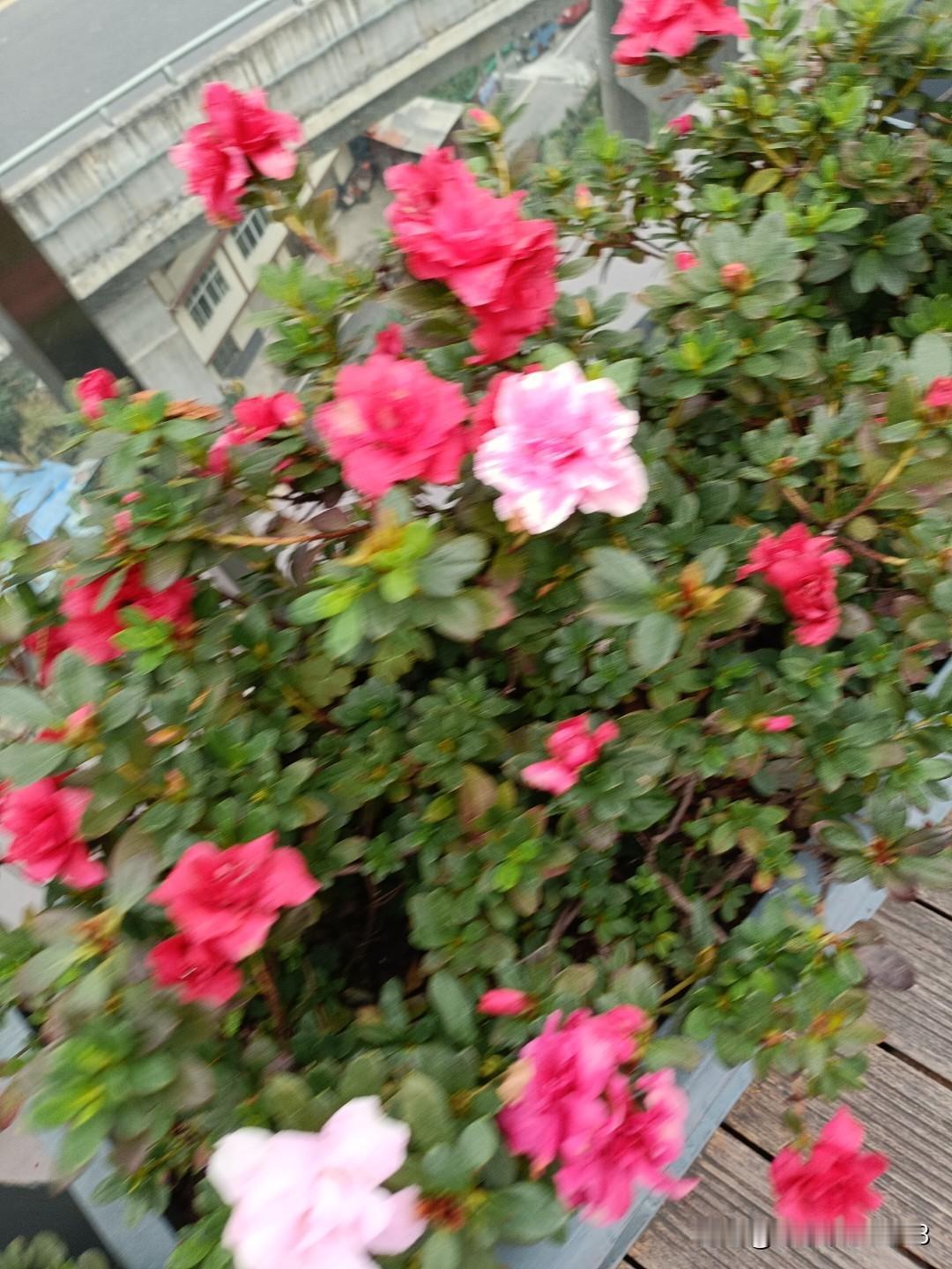 开心快乐每一天，你觉得可能吗跟心情有关，开心一天是一天。