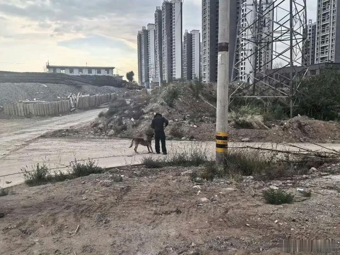 【第二日：百人拉网不漏一寸土地】 兰州公安40小时生命搜救 天刚亮，搜救全面升级