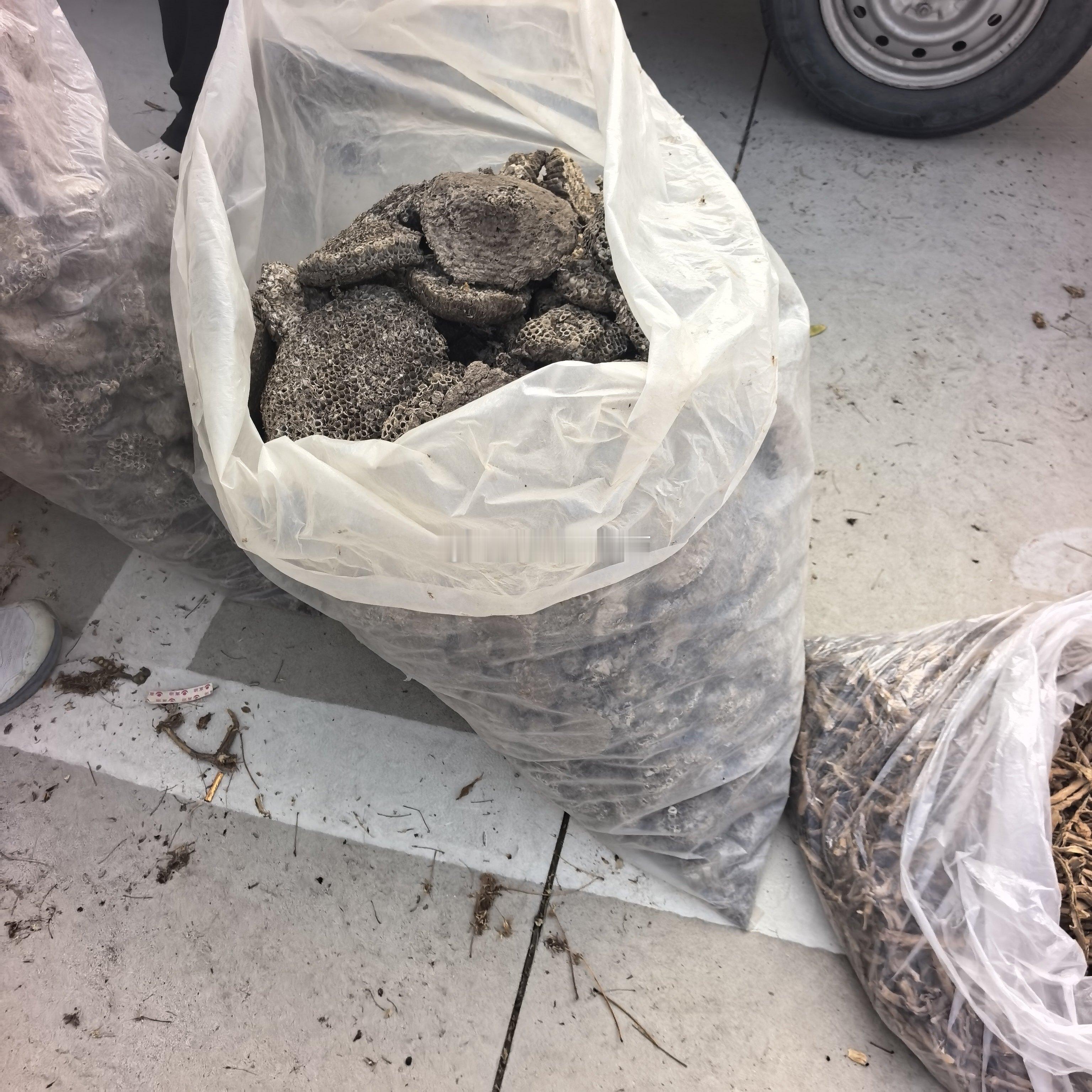 今天农历七月十一，逢一，照例是安国中药材市场的大集（位置在安国国际会展中心南侧，