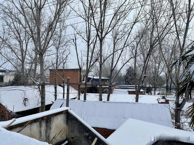 冬日生活打卡季 冬日的仪式感这不就来了！今日冬月初五，得讲究“1不空，吃2样，做