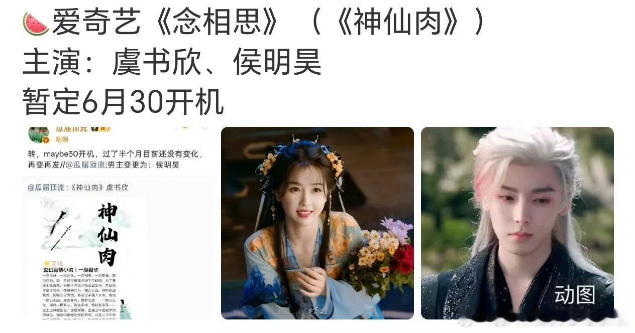 神仙肉已定虞书欣、侯明昊 并改名念相思 