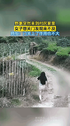 野象突然来到村民家里，
女子想关门发现来不及！[泣不成声]