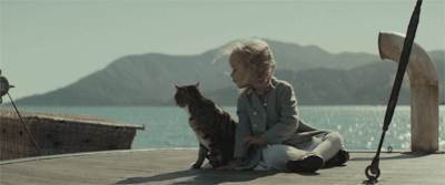 每天看着自己和其他人，却不曾注意到在你的身体里，有多少东西在崩溃，又有多少在重建