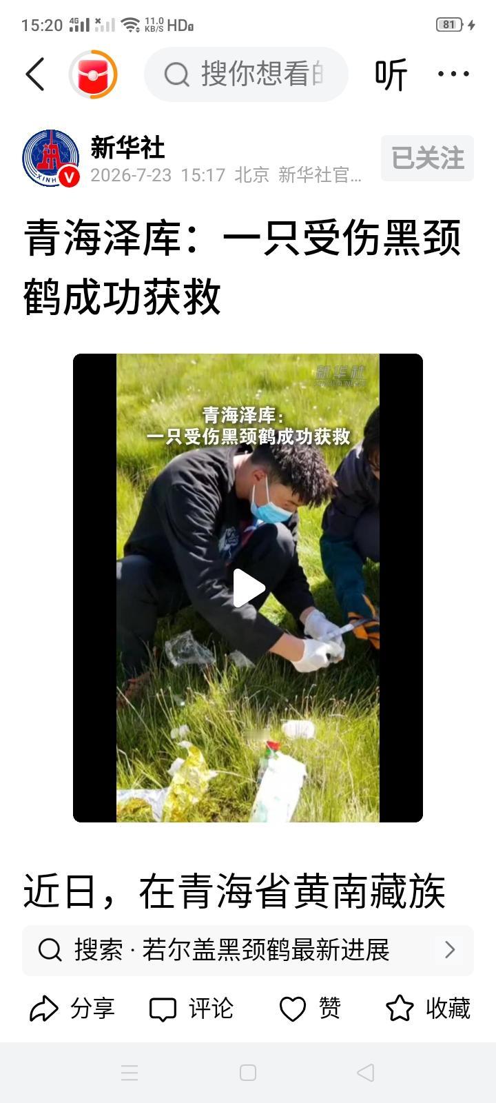 剧情怎么不是公知们说得那样了？以前公知们说美国为了救被困的小鸟，会停电去救，可现