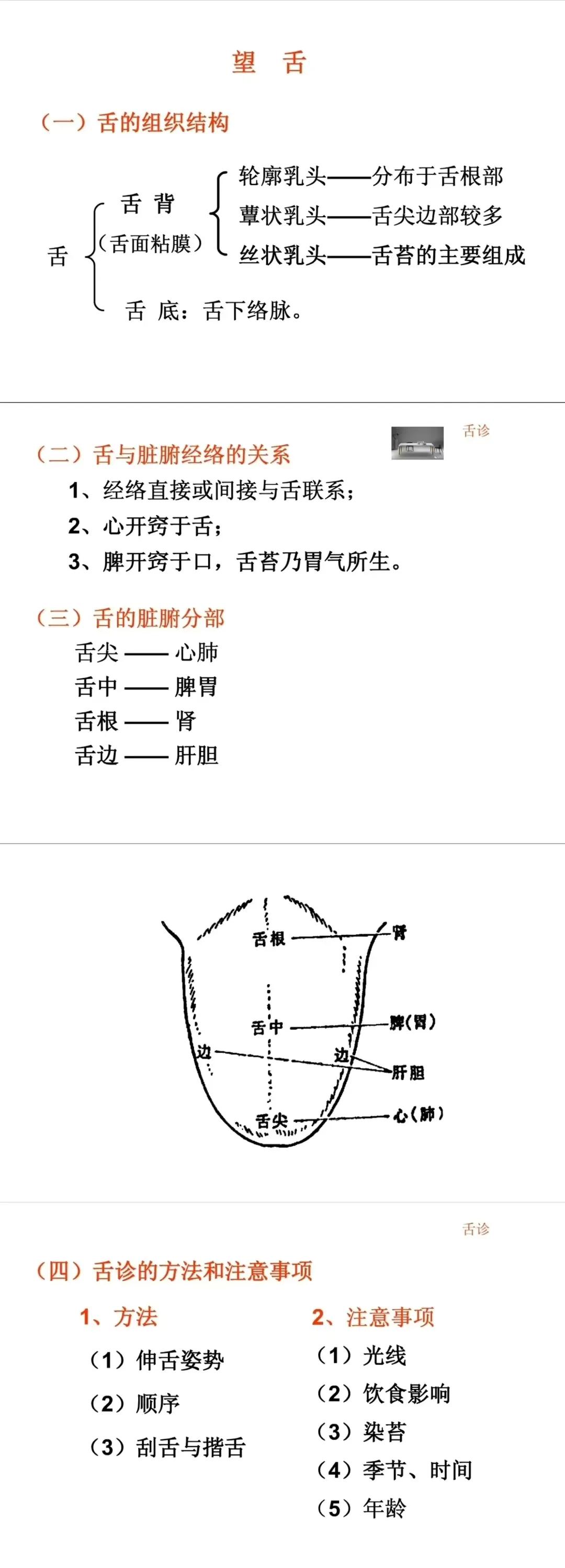 你是否想过通过观察舌头就能了解身体的健康状况？今天，我们将带你走进舌诊的世界，让