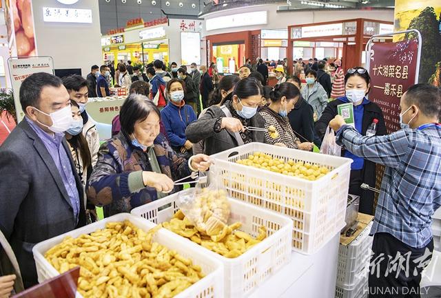 泡面|逛农博 品美食