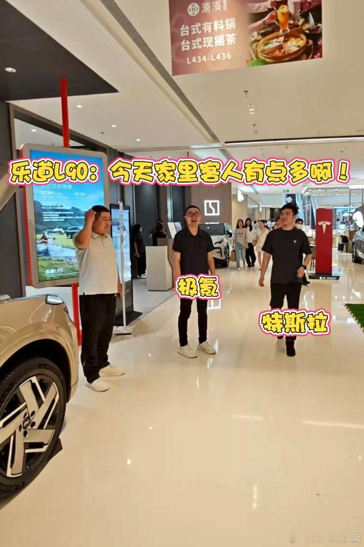 极氪：边上干啥呢？咋都是人？特斯拉：让我来瞅瞅，到底 L90 怎么个回事？⬇️乐