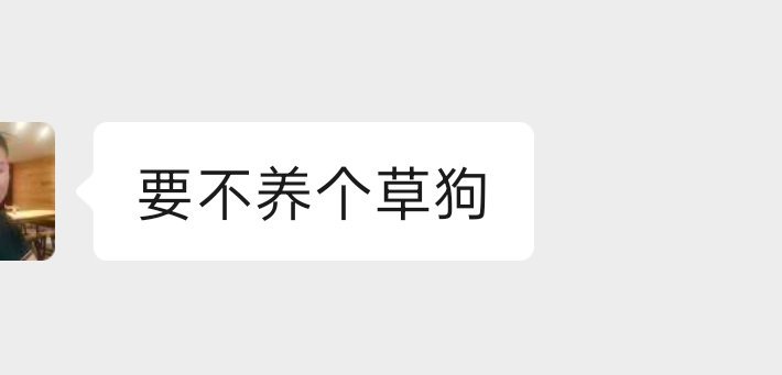 和老父聊博美犬。虽然很想养狗但自己都养不活只能先负担小润和美津……老父的语言系统