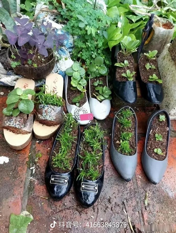 长辈总能找到最贵的随手用  有没有一种可能是我们舍不得一直没用却被当做没有用了 