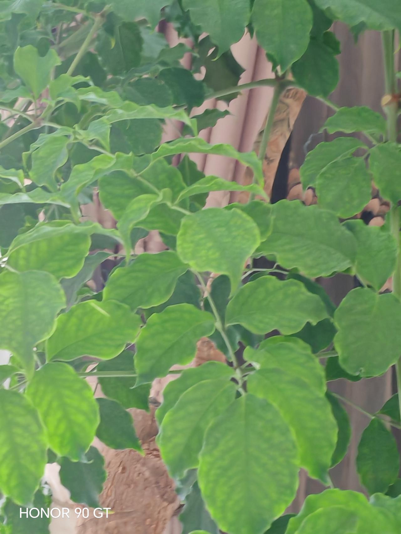 春天还会来，
快乐每一天。