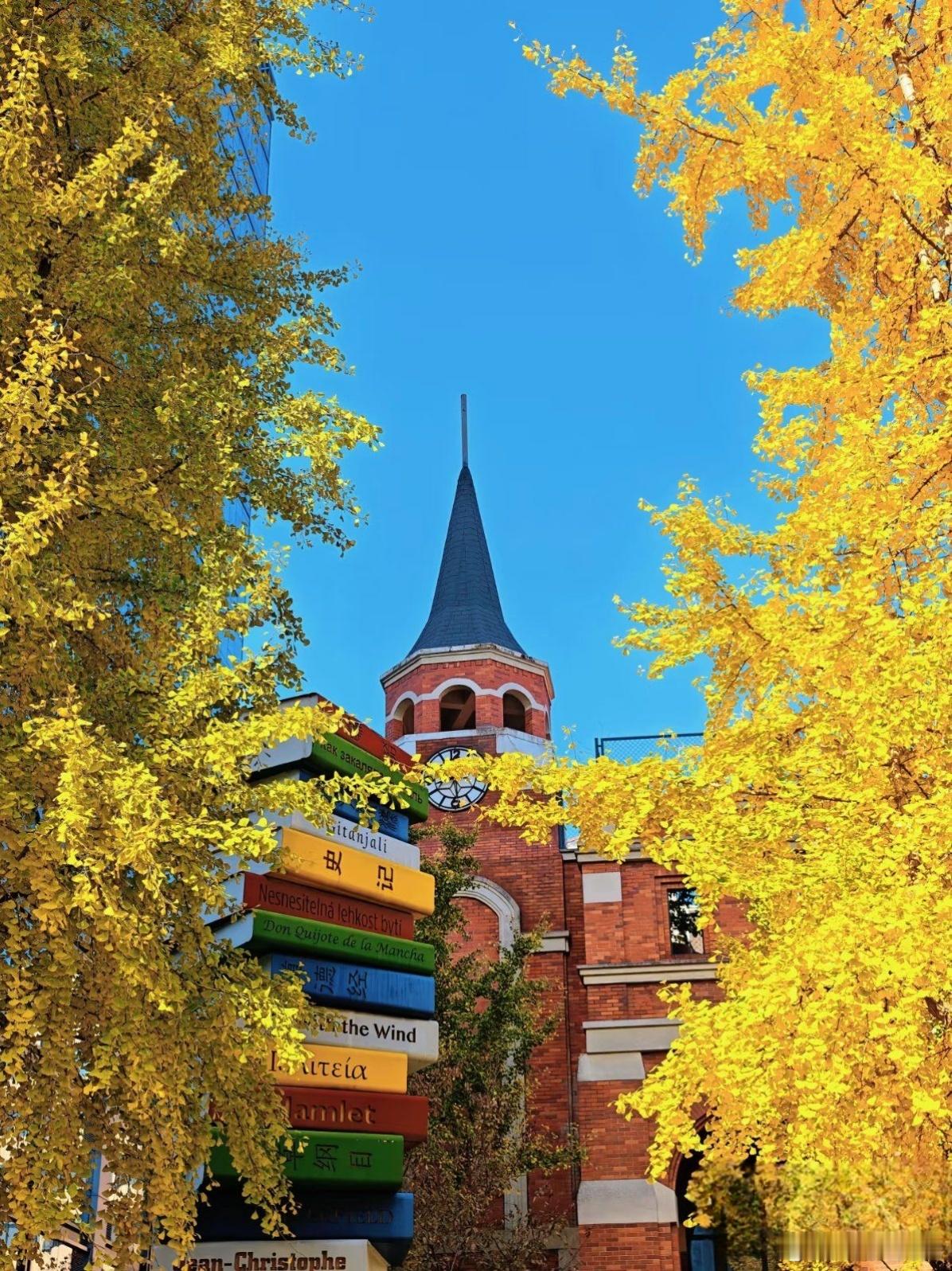 门前银杏如相待，才到秋来黄又黄。校园秋景随手拍银杏摄影人