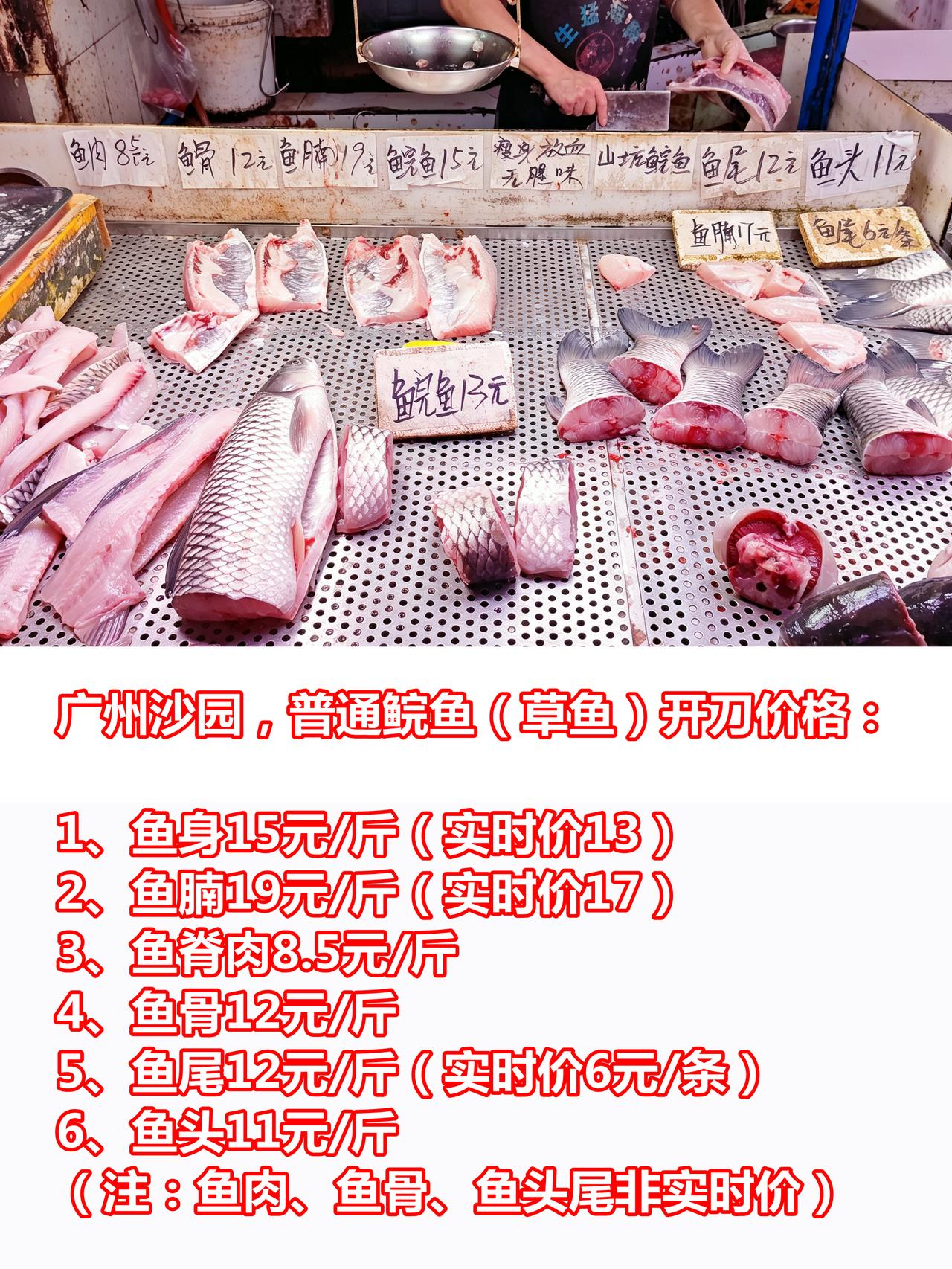 广州沙园，普通鲩鱼（草鱼）开刀价格：

1、鱼身15元/斤（实时价13）
2、鱼