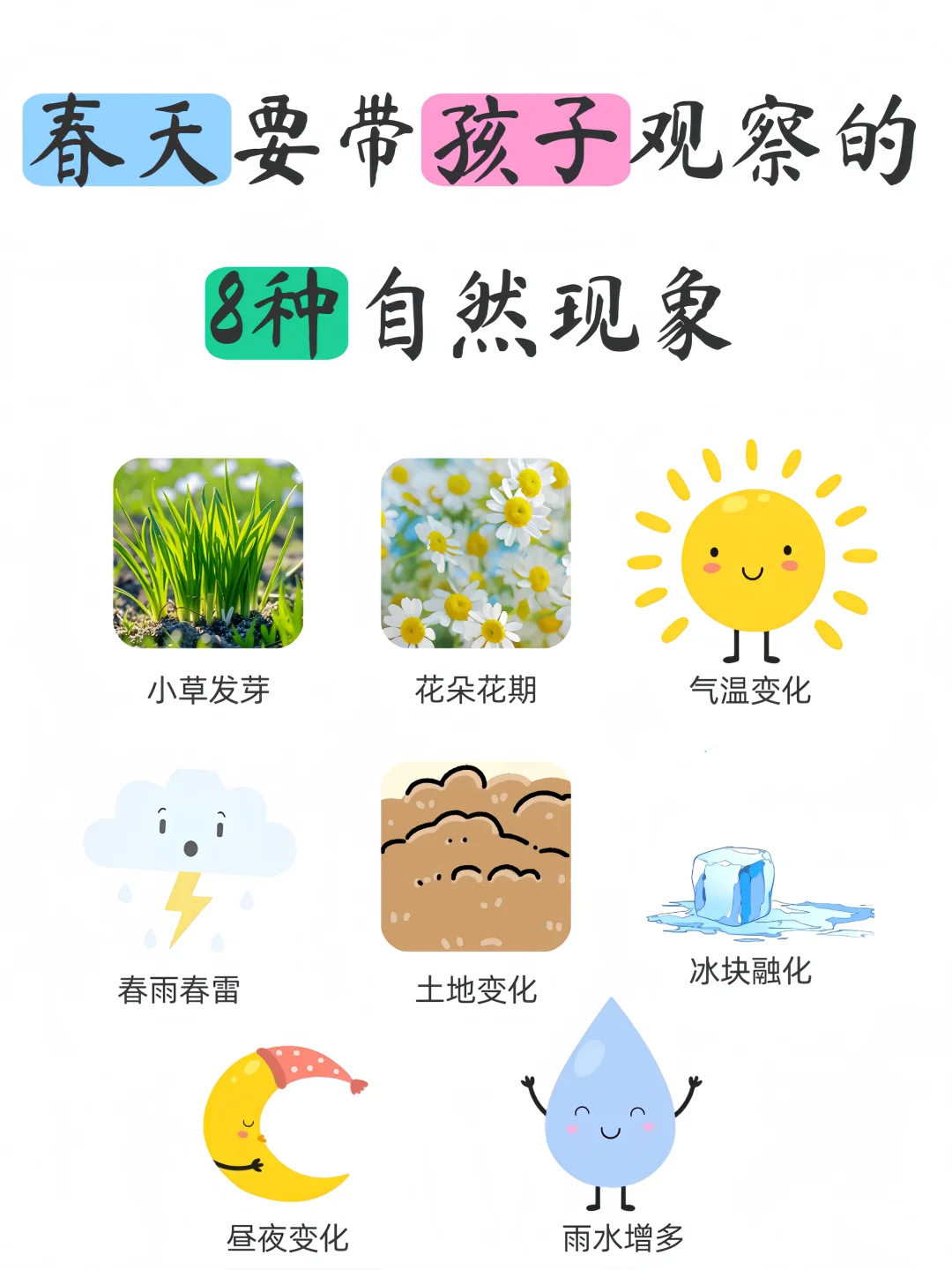 春天要带孩子观察的8种自然现象