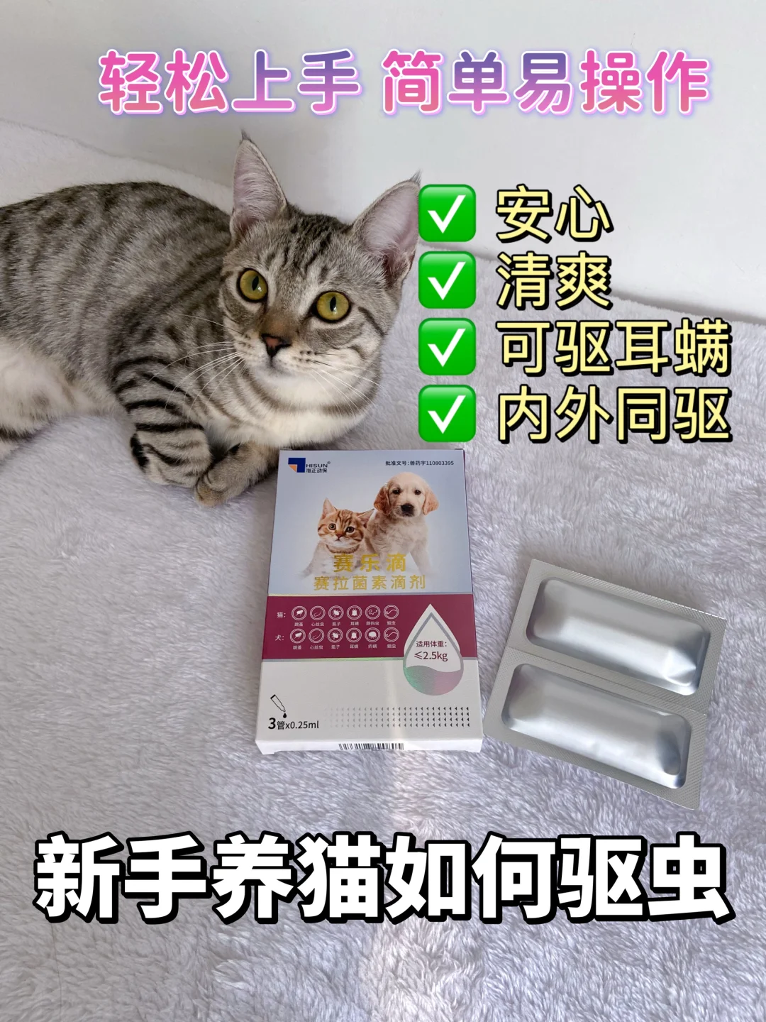 新手养猫如何驱虫