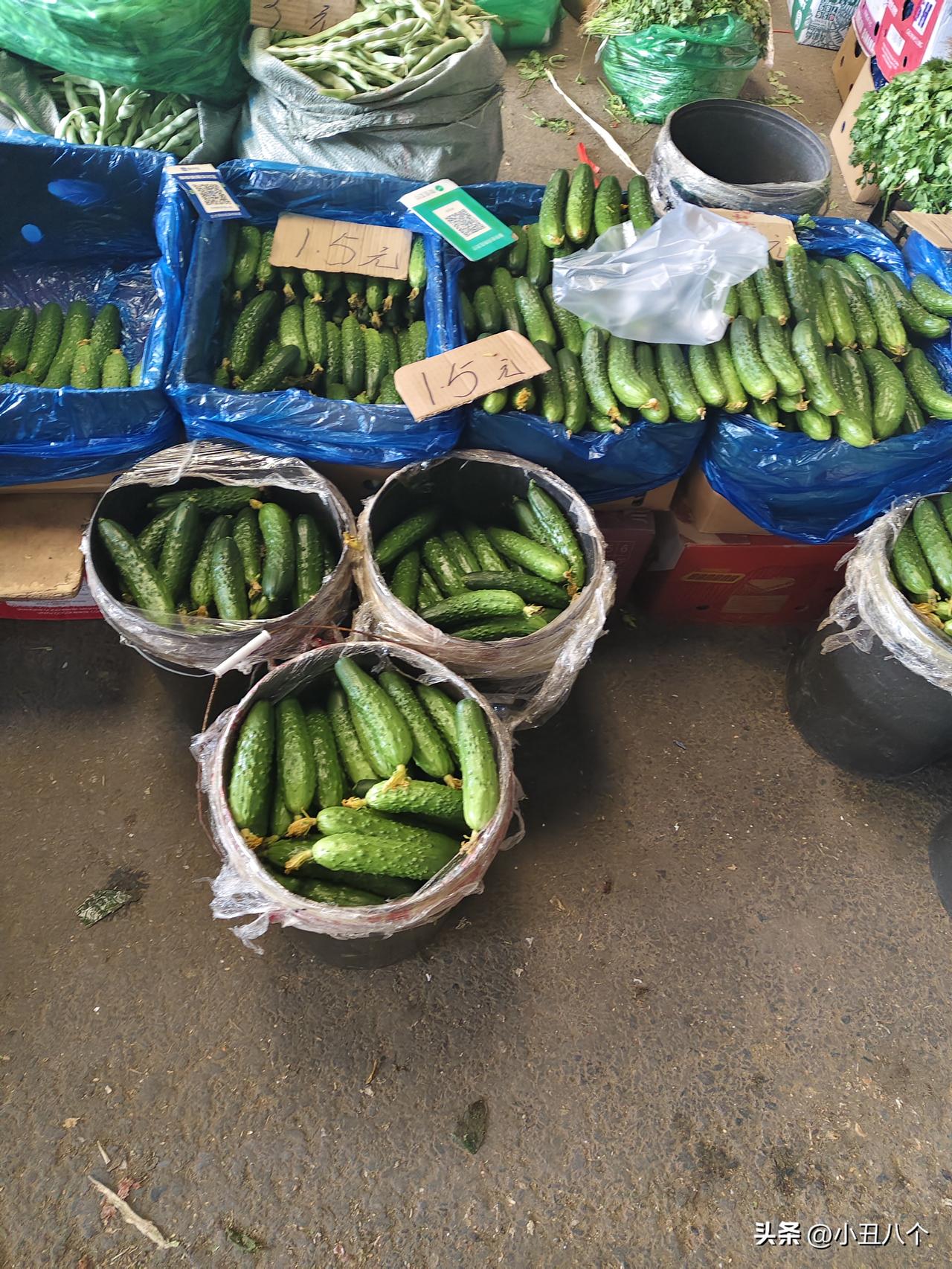 今天本来是去买点肉去的，正好地铁免费去机场大商买点肉囤起来。寻思看一眼菜菜价吧，