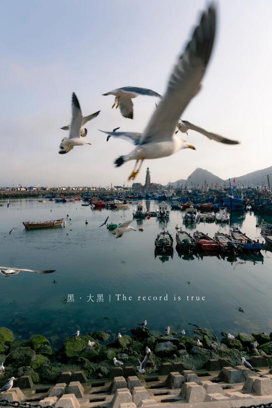 “想你的风，吹到了大连❗不过这风有点太大了”