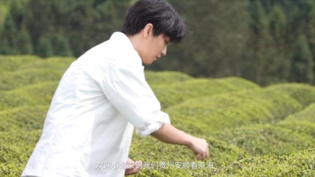 #王俊凯采茶姿势#明明松弛又自在，但是却是非常标准的采茶姿势，看来王俊凯也是做足