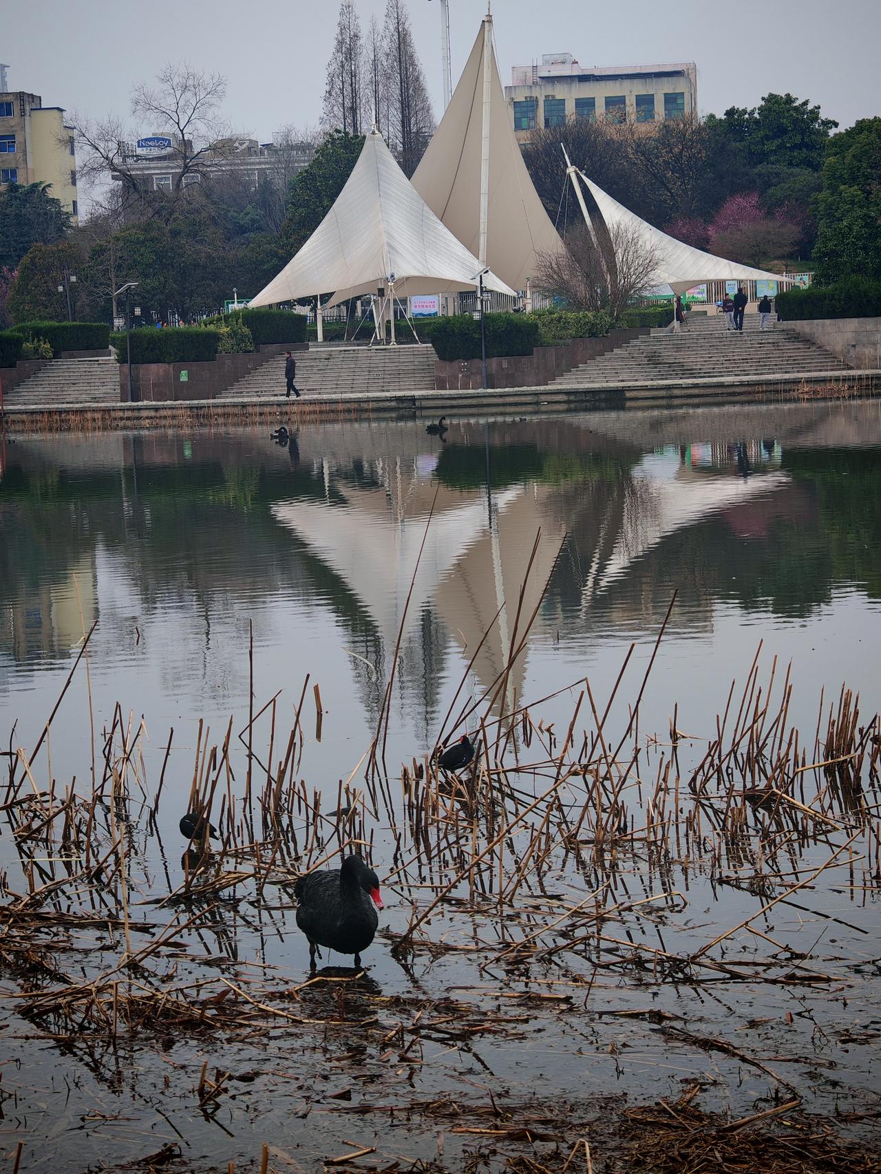 人与自然和谐共生