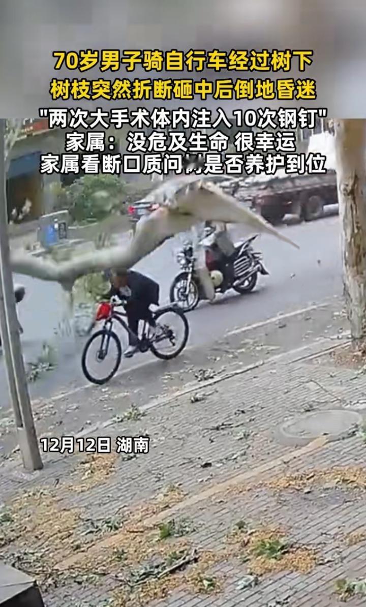 近日湖南长沙，一70岁大爷骑着自行车上街，谁料，就在大爷骑到一棵大树底下时，树枝