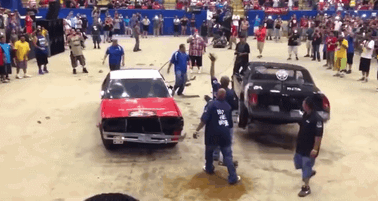 放生吧，太野了