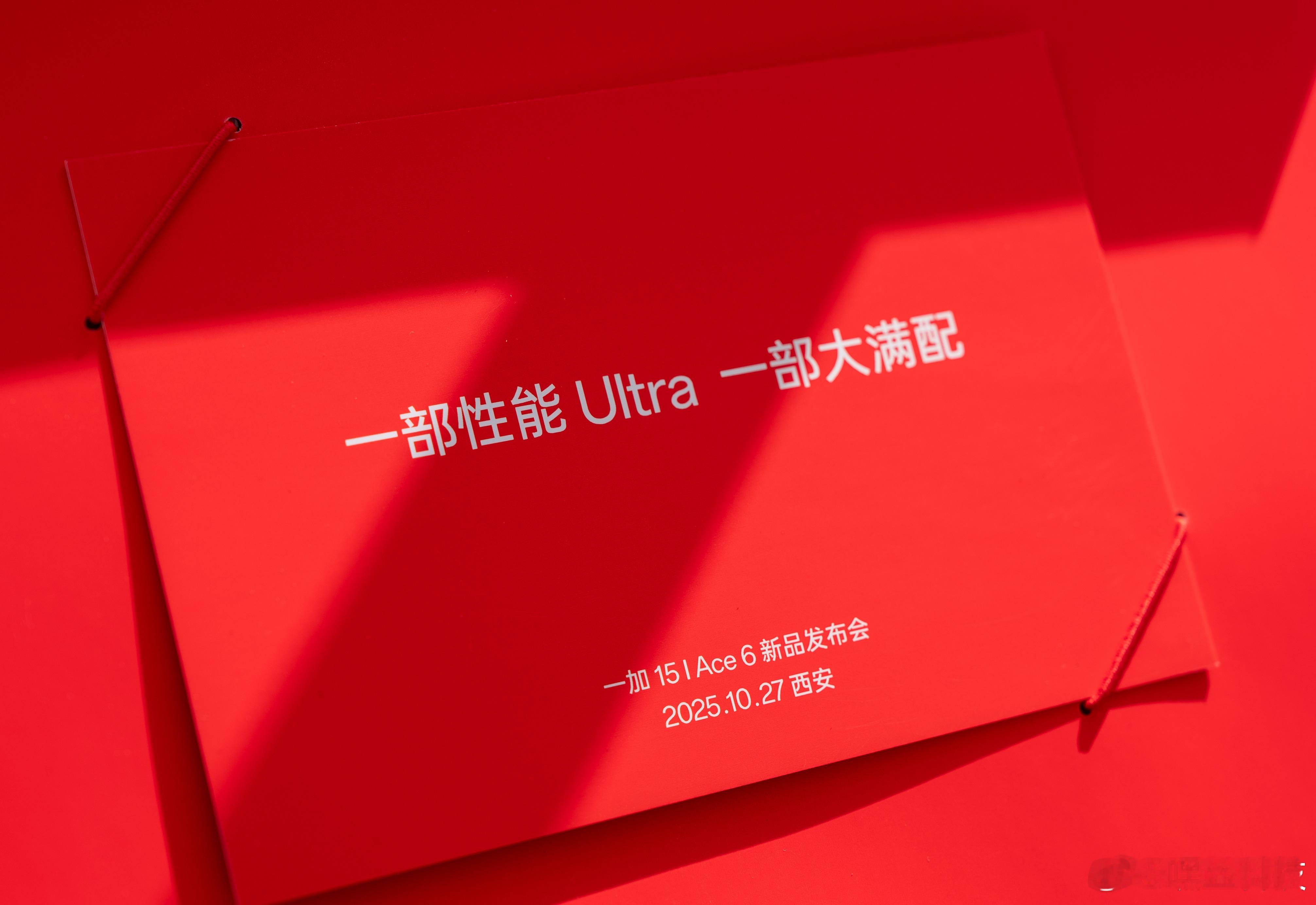 收到一加寄来的邀请函，我寻思着怎么这么有分量，原来是根双节棍[吃惊]这次一加的武