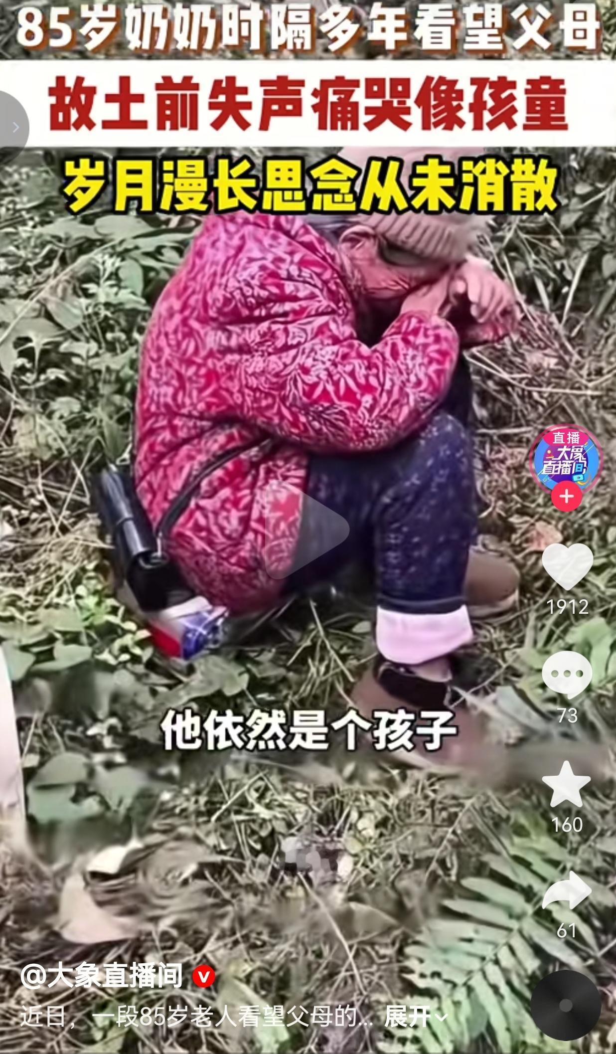 破防了，85岁的奶奶时隔十余年回到父母坟前，当场崩溃大哭，那哭声根本不是老人，就
