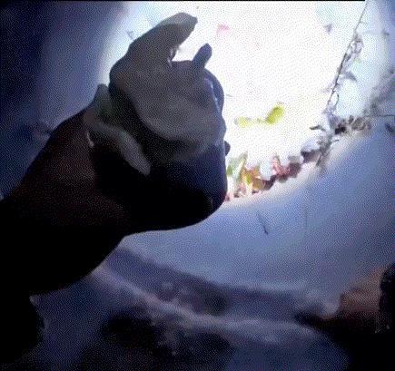 看哭了，河南，男子一家煮饺子吃，饺子熟后在盛饺子时，饺子掉了两回，起初男子也没在